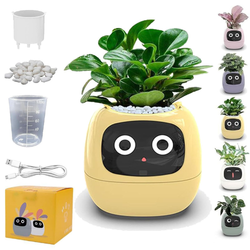 🌿  الربوت الذكي للعناية بالنبتات  AI Plant Bot