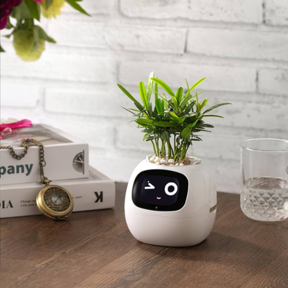 🌿  الربوت الذكي للعناية بالنبتات  AI Plant Bot