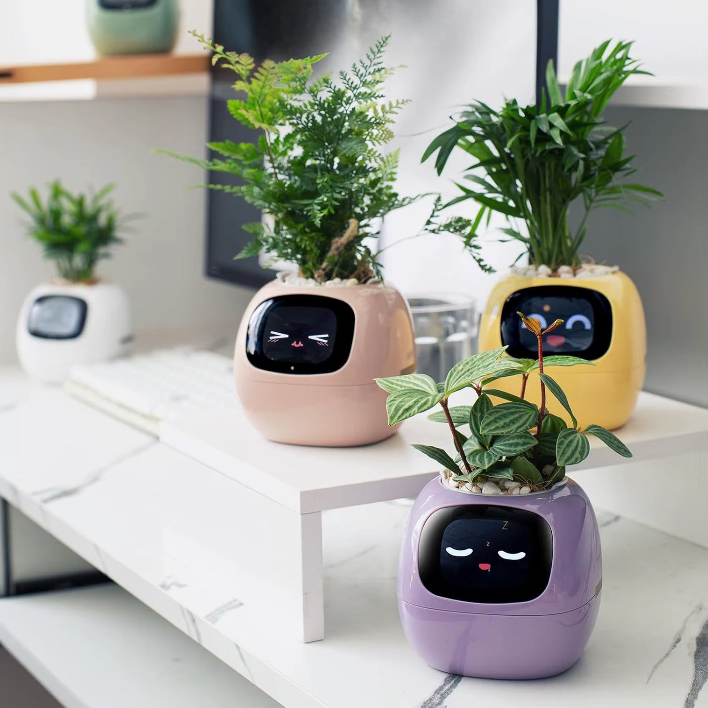 🌿  الربوت الذكي للعناية بالنبتات  AI Plant Bot