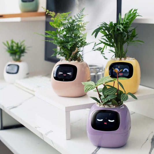 🌿  الربوت الذكي للعناية بالنبتات  AI Plant Bot